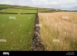 Image result for Volcanic Rock Azores