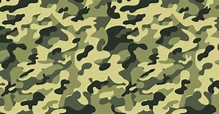 Image result for Regia Aeronautica Stencils Camouflage