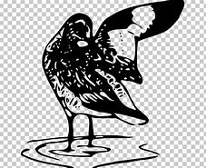 Image result for Willet Bird Line Art