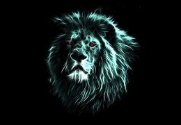 Image result for Lion HD Wallpaper in PC Desk