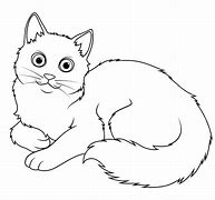 Image result for Fat Angora Cat Cartoon