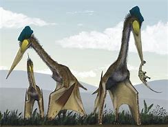 Image result for Biggest Flying Dinosaur