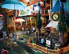 Image result for Great Wolf Lodge Concord