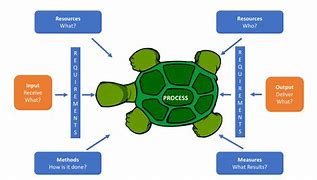 Image result for Turtle Growth Chart