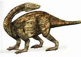 Image result for Thecodont