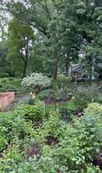 Image result for Raining Backyard Garden