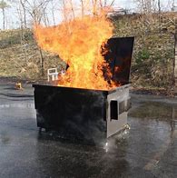 Image result for Pink Dumpster Fire