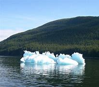 Image result for Ledovec Tracy Arm