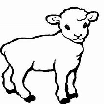 Image result for Drawing of Lamb