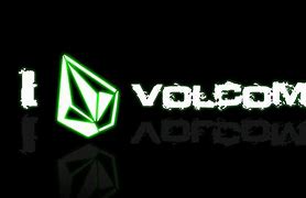 Image result for Volcom Models