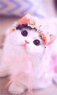 Image result for Kawaii Pink Cat Background