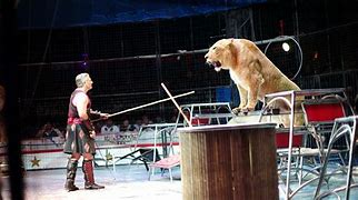 Image result for Japanese Circus Preformers