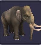 Image result for Sicilian Dwarf Elephant