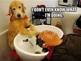 Image result for Funny Pictures of You Don't Know Me