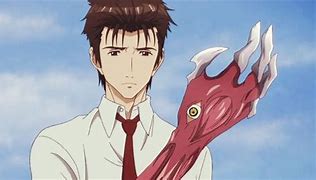 Image result for Paracitre Anime Movie