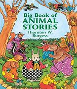 Image result for Big Tab Book