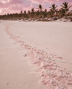 Image result for Pink Sand Beaches in Bahamas