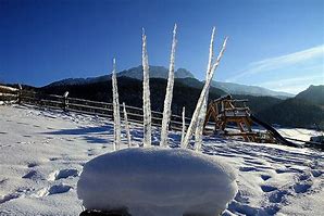 Image result for Snowstorm Icicles