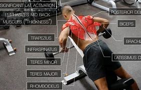 Image result for Back Workout Program