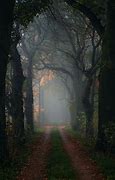 Image result for Crossing a Foggy Path