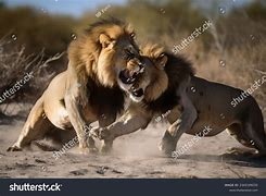 Image result for Fighting The Lion Inside