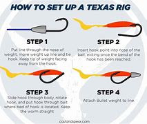 Image result for How to Tie a Texas Rig