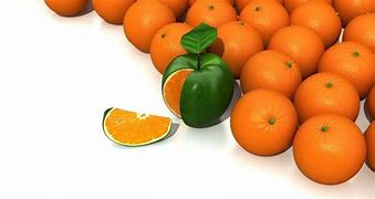 Image result for Orange Tangerine Hybrid