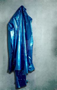 Image result for Blue Raincoat