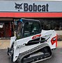 Image result for Bobcat