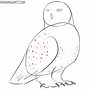 Image result for Snowy Owl Black and White Drawing