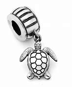 Image result for Openable Turtle Charm