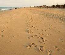 Image result for Beaches along Jersey Shore