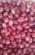 Image result for Pre-Cooked Beans Kenya