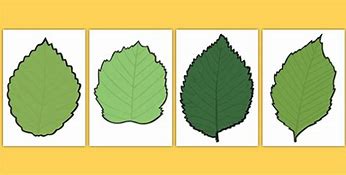 Image result for Free Printable Green Leaves