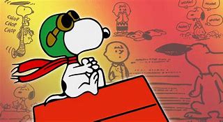 Image result for Snoopy Items