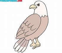 Image result for Hawk Cut Out