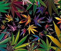 Image result for Weed Backgrounds For Laptop