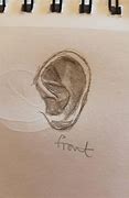 Image result for Ear Front View