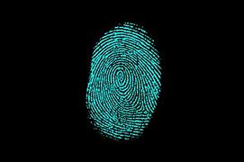 Image result for Forensics Crime Scene Fingerprints