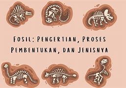 Image result for Sejarah Fosil