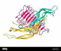 Image result for TSH Molecule