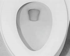 Image result for Poop Floating in Toilet