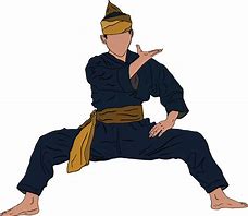 Image result for Pencak Silat Art