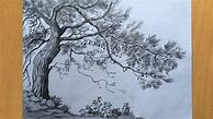 Image result for Tree Pencil Clear Sketch