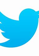 Image result for Twitter Logo Without Background