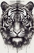 Image result for Tiger Tattoo Drawings and Sketches