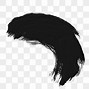 Image result for Malwa Brush Black