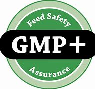 Image result for GMP Logo