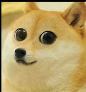 Image result for Doge Sad Aviation