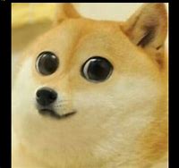 Image result for Doge Sad Mood